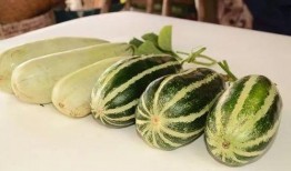 各类网红吃瓜视频