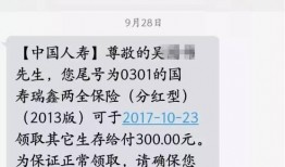 爆料网最新回家线路,爆料网带你轻松返乡