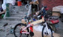 沈阳自行车爆料事件视频,真相与争议交织的街头冲突