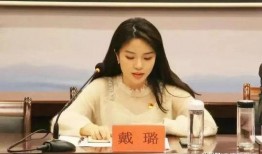 戴璐案件谁爆料的啊视频