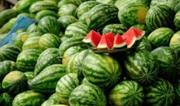 每日推荐网红吃瓜,每日推荐，揭秘娱乐圈幕后故事