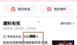今日头条司机爆料视频,揭秘网约车行业潜规则与困境
