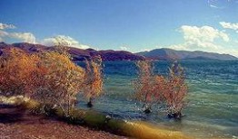 大理新闻最新爆料,最新爆料事件深度解析