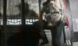 虎兄豹弟爆料视频,揭秘幕后的惊人真相