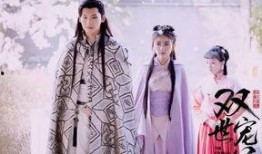 双世宠妃在线看免费观看,穿越时空的甜蜜邂逅！