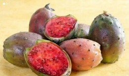 红团果实爆料视频,揭秘视频背后的惊人真相