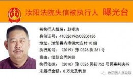 洛阳最新爆料消息,千年古都焕新颜，揭秘背后故事