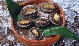 鲍鱼最新爆料图片高清,高清视角下的奢华美食魅力