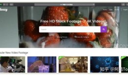 视频爆料素材网站免费大全,海量资源任你挑选