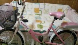 沈阳自行车爆料事件视频,真相与争议交织的街头冲突