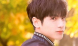 大锤爆料罗云熙视频,大锤爆料背后的故事揭秘