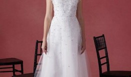 婚纱礼服在线观看,婚纱礼服在线盛宴