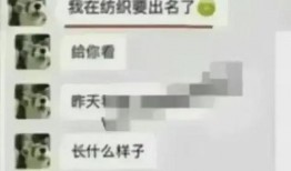 大瓜爆料视频聊天记录,视频聊天记录曝光惊人内幕