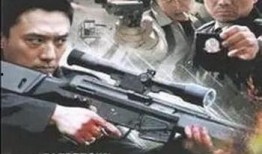 追捕毒枭全集在线观看,全境猎狐，正义终将胜利