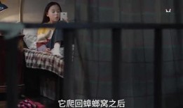 三姐爆料视频大全集下载,揭秘幕后真相，带你走进事件核心