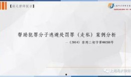 罚罪最新爆料案例分析,揭秘案件背后惊人真相