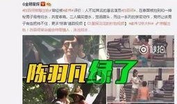 陈赫人品爆料事件视频,真相与舆论的漩涡