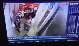 达哥现场爆料视频下载免费,揭秘幕后真相，免费下载独家内容