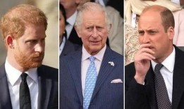 威廉王子最新爆料,揭秘权力斗争与情感纠葛