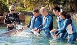 穆里尔的婚礼在线观看,浪漫邂逅，甜蜜见证