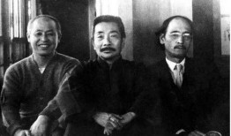 鲁迅最新爆料事件视频在线观看,揭秘背后惊人真相