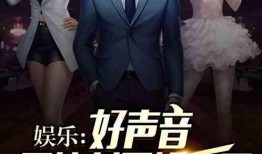 爆料冲击整治娱乐圈小说,揭秘爆料冲击背后的真相