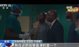 中国打假拳爆料视频大全,视频大全揭露黑幕真相