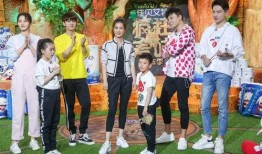 疯狂的麦咭在线观看,揭秘刺激的在线观看之旅