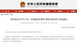 新城最新爆料消息今天新闻,今日新闻焦点深度解析