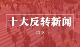 有反转有爆料的新闻素材,反转与爆料背后的新闻风云