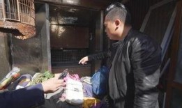 永琪改造被爆料视频,揭秘明星家居改造背后的故事