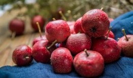 空心山楂爆料视频,网红食品背后的真相