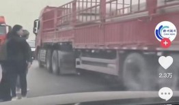 辽宁2手车爆料事件视频,视频揭露惊人内幕