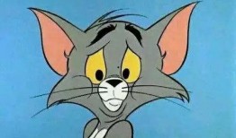 爆料猫玩老鼠视频大全