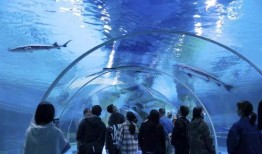 水底世界爆料视频,揭秘神秘水世界爆料视频