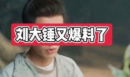 刘大锤爆料马铃薯视频,马铃薯背后的惊人真相