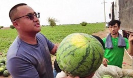 大漠瓜客-免费吃瓜,免费吃瓜之旅，尽享沙漠瓜果盛宴