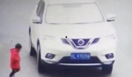 戴卡最新爆料视频,揭秘科技新动态，引领未来创新趋势