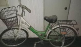 沈阳自行车爆料事件视频,真相与争议交织的街头冲突