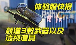 新增武器爆料最新消息,揭秘未来战场利器