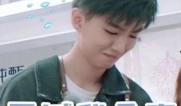 娱乐圈爆料 王俊凯视频,娱乐圈再掀波澜