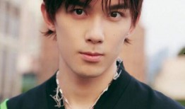 吴磊积分爆料视频大全最新