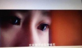 圈内爆料女主角是谁扮演的,揭秘热门剧集幕后主演