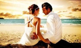 在线观看你懂的,“你懂的”背后的文化现象