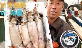 冰鲜大鱿鱼爆料视频播放,揭秘海鲜市场惊人内幕