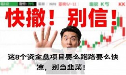 最新爆料的资金盘,巨额收益背后的风险与陷阱