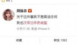 申艺灿最新爆料新闻,揭秘娱乐圈惊人内幕！