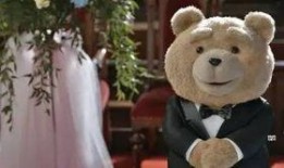 泰迪电影爆料视频,视频内容深度解析