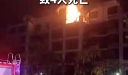 郑州爆料大全视频,揭秘城市热点事件背后的真相