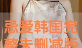 韩国爱人未删减版在线观看,未删减版，情感纠葛全景呈现